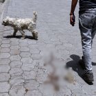 En las afueras de la casa donde ocurrió el hecho violento todavía existe sangre de la víctima.