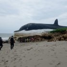 El monumento al delfín de Posorja habría sido afectado por un deslizamiento de su base.