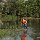 Un arrocero tratando de salvar las pocas plantas que aún no se habían ahogado.
