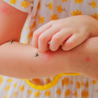 Los niños corren mayor riesgo de contraer dengue grave.