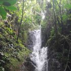 Una de las impresionantes caídas de agua, atractivos turísticos de Centinela del Cóndor.