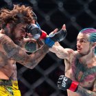 Sean O'Malley no podrá volver al octágono por suspensión médica.