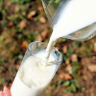 Una investigación de la Politécnica Nacional identificó plomo y aluminio en muestras de leche recolectada en Guayaquil, Quito y Cuenca