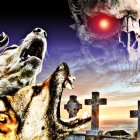 National Geographic ha dedicado reportajes en los que destaca cómo, por ejemplo, los canes podrían detectar el cáncer.