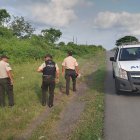 La Policía llego a punto donde estaban los equinos muertos.