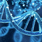 La genética descubrió cómo ocurre este fenómeno.