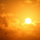 Conoce cómo estará el clima en tu ciudad.