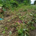 En la Ruta Ecológica todavía se evidencia la mancha de sangre.