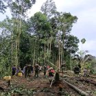 Habitantes de la comunidad de Tiwino ayudaron a construir un helipuerto improvisado.