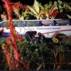 Fatal accidente en vía a Machala.