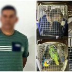 Evidencias del allanmiento realizado en Sucumbios