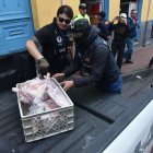 En el último operativo se decomisó carne de borrego sin certificados.