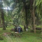 El hallazgo atroz fue en Buena Fe.