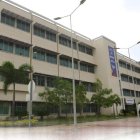 Los delincuentes esta