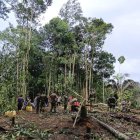 Para la comunidad de tiwino, el sitio donde se estrelló el helicóptero del Ejército es un lugar sagrado.