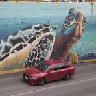 Los artistas trabajan con pinturas donadas, antes de que estas caduquen.