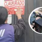 La Arcsa cierra establecimiento por insalubridad en Cuenca.