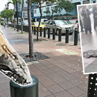 Esta culebra se recorrió varios metros de una calle del centro porteño.