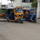 En medio de las calles están las plantaciones.