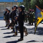 Los canes fueron condecorados por su trabajo