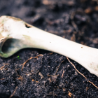 El macabro hallazgo se dio la mañana de este 10 de junio.