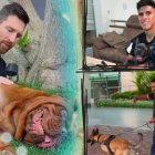 Lionel Messi, Piero Hincapié y Ariel Holan con sus mascotas.