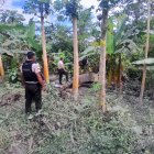 El féretro encontrado en un terreno baldío todavía se encontraba dentro de su nicho.