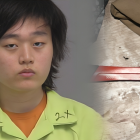 Edward Kang, de 20 años, enfrenta cargos de intento de homicidio.