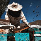 Imagen referencial. Tres colonias de abejas habitaban ese hogar.