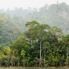 Este 29 de junio se celebra el Día Internacional de los Trópicos.