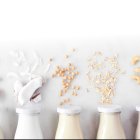 Puede hacer las leches vegetales con una gran variedad de cereales, frutos secos o semillas.