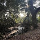 El estado en el que se encuentra el estero es perjudicial para la salud.