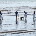 Operadores turísticos de Playa Las Palmas claman por justicia y compensación un año después del devastador derrame de petróleo