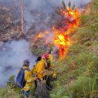 Animales fueron víctimas de una incendio forestal en Quilanga.