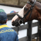 El jinete ecuatoriano Ronald Zabala representará a Ecuador en los JJ.OO. 2024.
