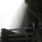 Los jóvenes son  estudiantes de un instituto de Ibarra.