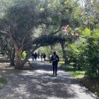 Un juez negó la acción de protección que interpusieron el rector y vicerrectores de la Universidad Central del Ecuador.