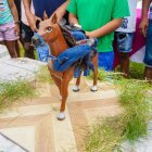 Este fue el que se llevó el premio.