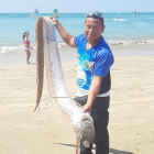 No es el primer hallazgo de un pez remo en las costas ecuatorianas.
