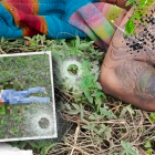 Las víctimas vestían pantalones. Uno de los fallecidos tenía zapatos deportivos y el otro estaba descalzo.