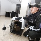 Agentes policiales de la Unidad de Protección del Medio Ambiente y del Ministerio del Ambiente atienden los casos de rescates.