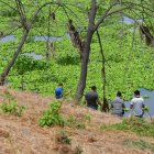 Policías llegaron al lugar para recabar indicios y retirar los cadáveres.