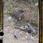 Dos sospechosos de asesinato fueron abatidos en el cantón Balao.