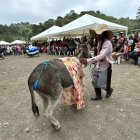 La asna La Pelucona desfiló en el concurso con un hilo azul.