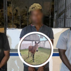 Los sospechosos de robar tres burros.