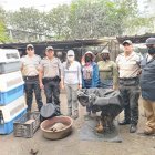 En julio del 2024, en el cantón Naranjito, varias especies fueron rescatadas en una vivienda. Estaban enjauladas.