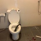 Así quedó la serpiente asesinada tras morder al hombre tailandés.