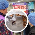 Las cucarachas se paseaban por los ingredientes de la pizza.