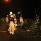 Miembros del Cuerpo de Bomberos llegaron a socorrer la emergencia.
