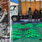 Se realizó un registro minucioso de la carga y se halló la droga.